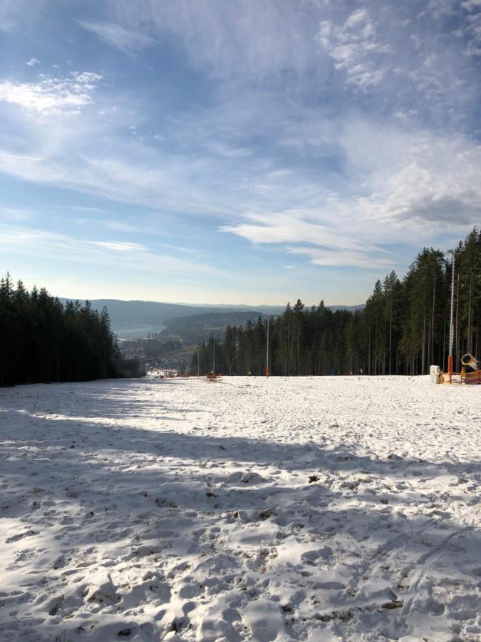 L&B Lake view modern apartment Lipno nad Vltavou Extérieur photo